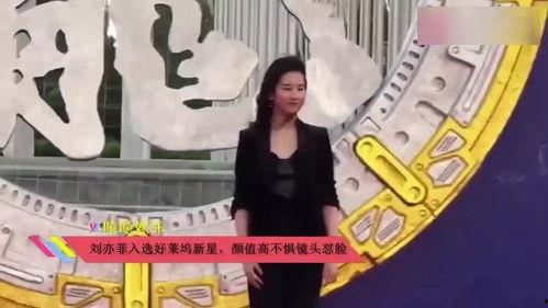 吃瓜群众视频集锦,笑料百出，欢乐无限