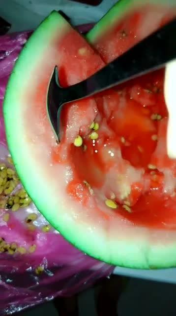 吃瓜吐籽视频,揭秘短视频中的趣味与智慧