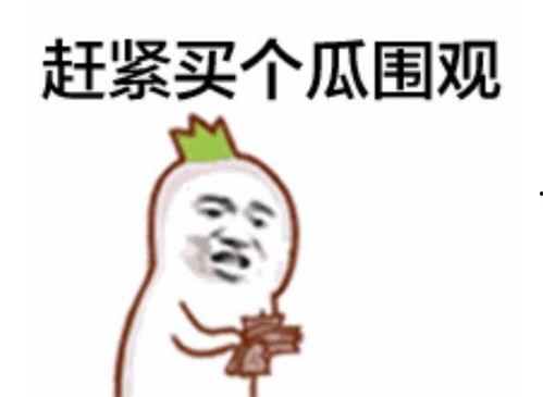 吃瓜群众钱有才,揭秘吃瓜群众的趣味生活与独特见解