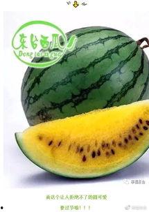 全球吃瓜短视频,一网打尽全球热点事件