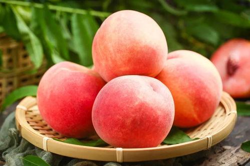 吃瓜群众的苹果,吃瓜群众的甜蜜诱惑