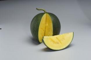 吃瓜上海网红,揭秘上海网红的吃瓜日常