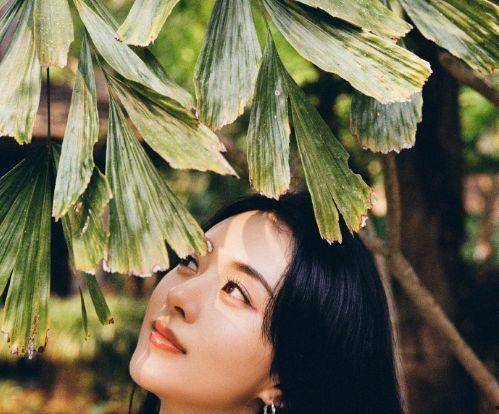 官宣照片吃瓜,揭秘明星幕后故事