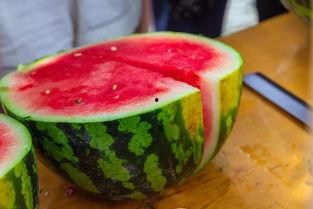 吃瓜合集大学里