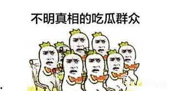 高端吃瓜群众