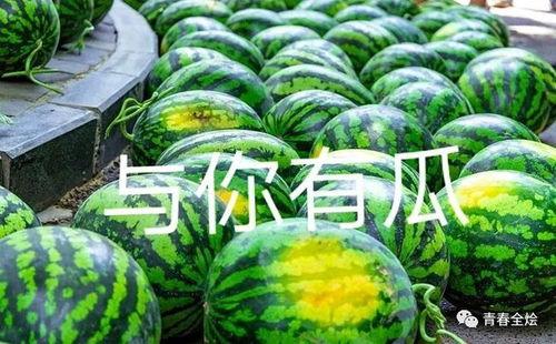 大学怎么吃瓜,揭秘校园吃瓜文化