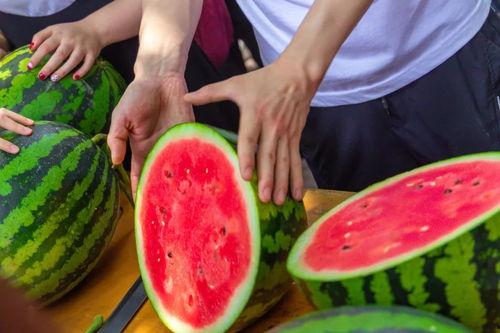 大学怎么吃瓜,揭秘校园吃瓜文化