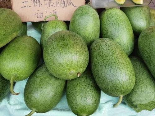 吃瓜能长肉吗,吃瓜真的会导致长肉？揭秘瓜果热量与体重关系