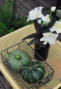 容悦花园吃瓜,揭秘吃瓜群众的欢乐盛宴