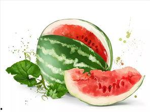 子母瓜怎么吃,探索美味食用新方式