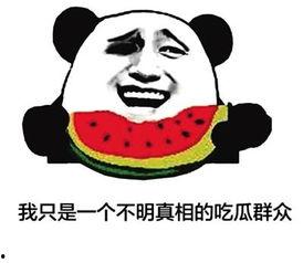 吃瓜群众的瓜大于一切