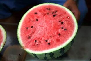 吃粉圈瓜,揭秘娱乐圈幕后故事