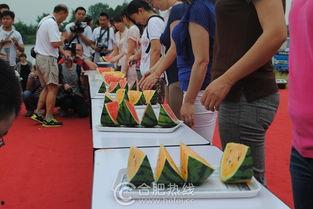 合肥吃瓜比赛,吃瓜比赛狂欢盛宴