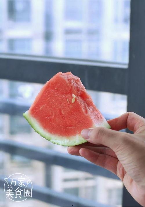 合肥吃瓜比赛,吃瓜比赛狂欢盛宴