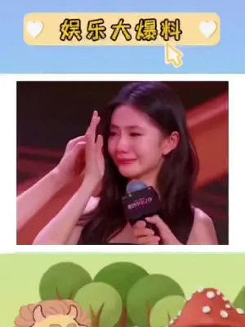 吃瓜娱评解说,揭秘娱乐圈背后的故事与真相