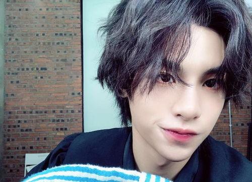 吃瓜小熊黄明昊,揭秘娱乐圈的“瓜王”传奇