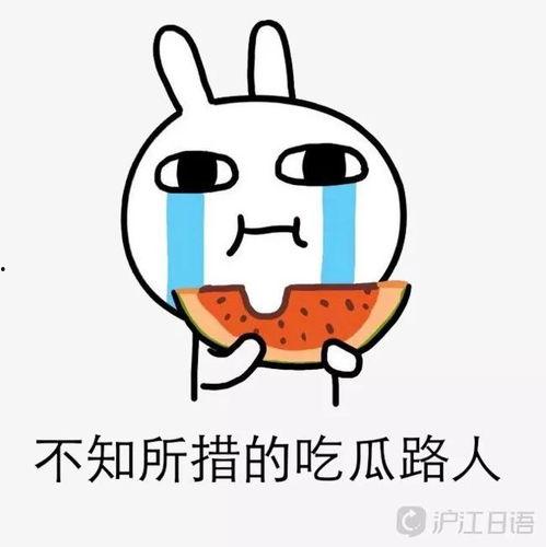 日语吃瓜版,揭秘日本流行话题背后的趣味与真相