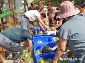 时尚广场吃瓜事件,揭秘幕后真相与公众热议