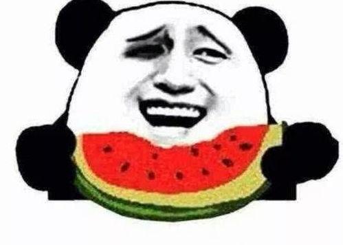 瓜哥带你吃瓜带你笑