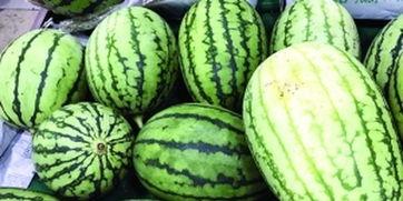 吃瓜快爆,吃瓜快爆带你直击明星幕后真相