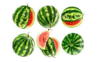 哈城市吃瓜,街头小吃，瓜果飘香，尽享人间烟火气