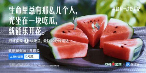 叮咚吃瓜情话,甜蜜瓜果中的浪漫絮语