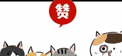 叮咚吃瓜情话,甜蜜瓜果中的浪漫絮语