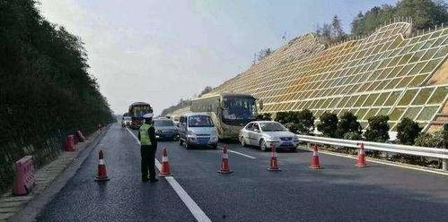 吃瓜事故后续,真相大白，各方反应汇总