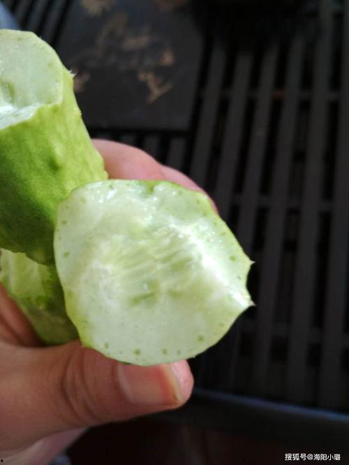 白玉瓜孕妇可以吃吗,安全营养两不误