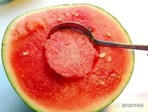 mico吃瓜集锦,趣味横生的美食瞬间