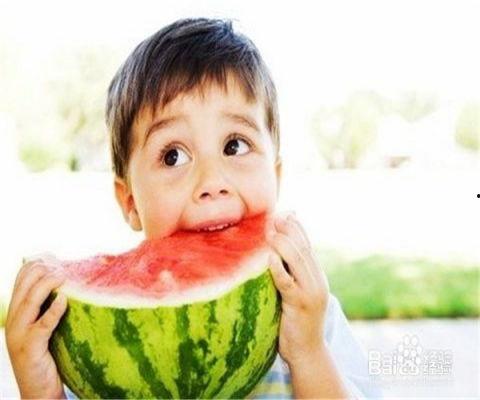 mico吃瓜集锦,趣味横生的美食瞬间