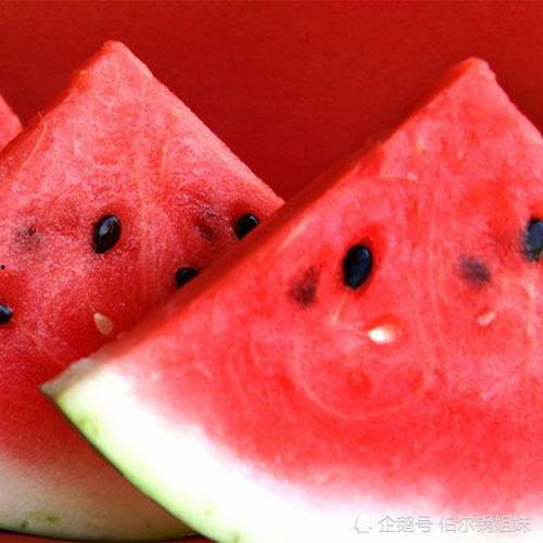 吃瓜容易种瓜难