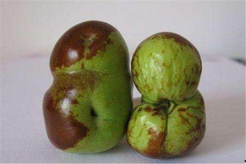 歪瓜裂枣吃不得,食品安全记心间