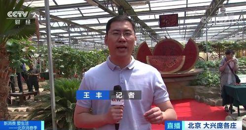 新闻记者吃瓜,揭秘娱乐圈幕后真相