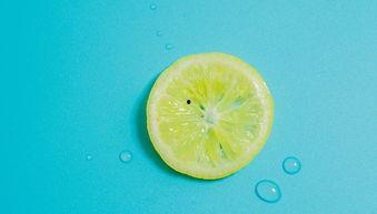 吃瓜助养视频大全,趣味养宠攻略大揭秘