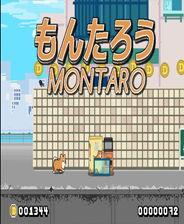 免费在线吃瓜网址,畅享娱乐盛宴的秘籍指南