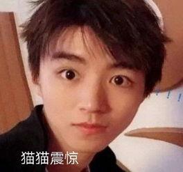 王俊凯吃瓜直播,揭秘娱乐圈幕后故事