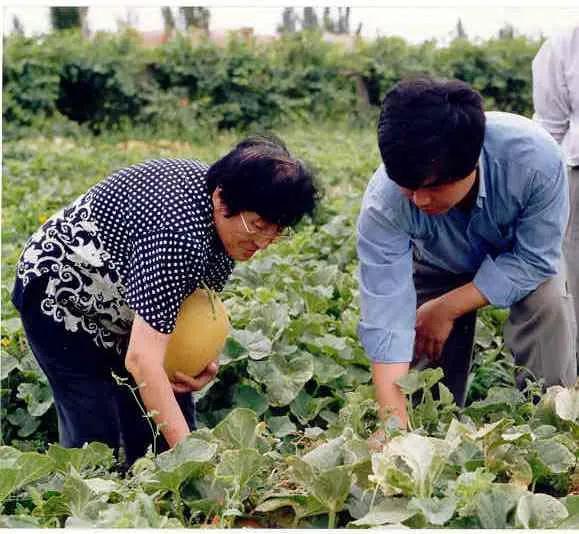 佛科院吃瓜,揭秘校园美食背后的故事