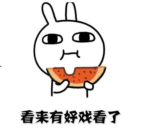 吃瓜待瓜什么意思,揭秘“吃瓜待瓜”背后的网络热词现象