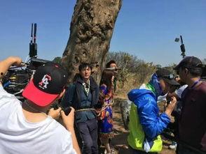 吃瓜群众老王2007,见证娱乐圈风云变幻的“瓜王”传奇