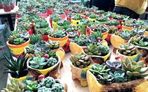 西安花海吃瓜,西安花海盛夏瓜果香