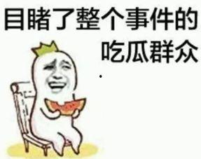 吃瓜群众看猪头图片,这是什么神仙画风？