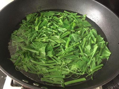 吃佛手瓜尖,舌尖上的绿色美味探索