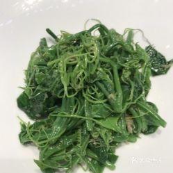 吃佛手瓜尖,舌尖上的绿色美味探索