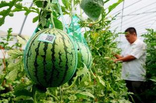 最新最火吃瓜,揭秘明星们的幕后风云