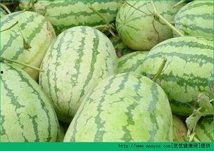 亦晨吃瓜,揭秘娱乐圈那些不为人知的幕后故事