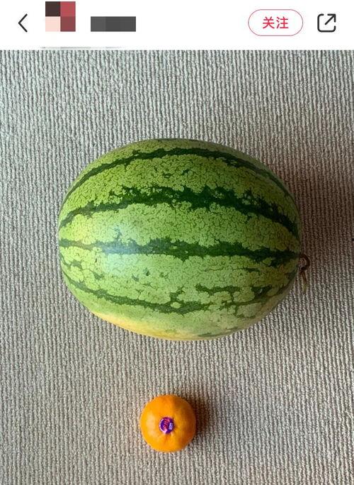 外国催眠吃瓜,一场神秘的吃瓜盛宴