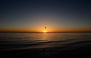 日出吃瓜,探寻夏日清晨的独特风味