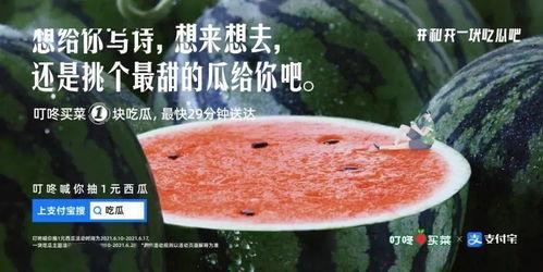 吃瓜的高级文案,揭秘吃瓜达人背后的高级文案智慧