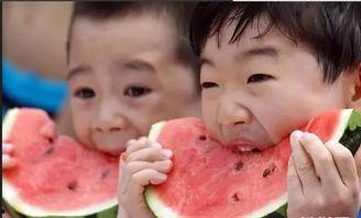 岸上吃瓜,揭秘娱乐圈幕后风云